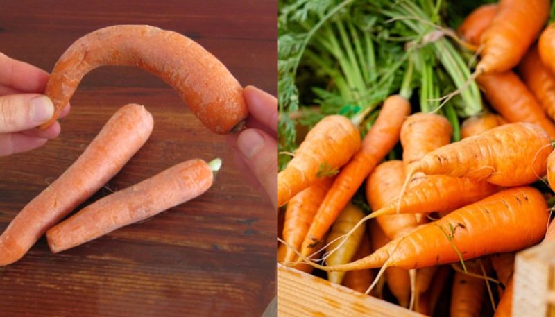 tips to store fresh carrot for long time 