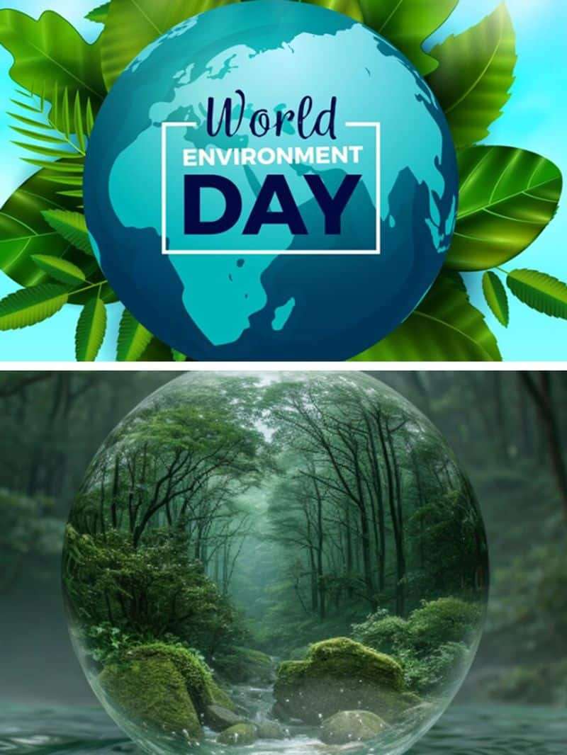 World Rainforest Day 2024: Know date, history, significance and others ATG