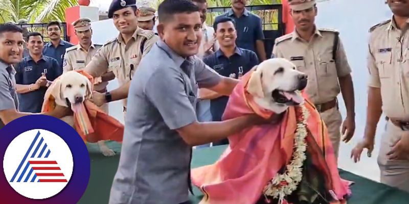 Police Sniffer dog retired from service after 11 years with ceremonial send off ckm