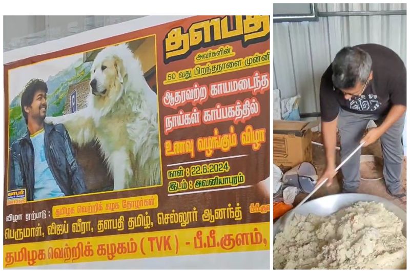 Actor Vijay's fans feed to helpless dogs in Madurai on his birthday vel