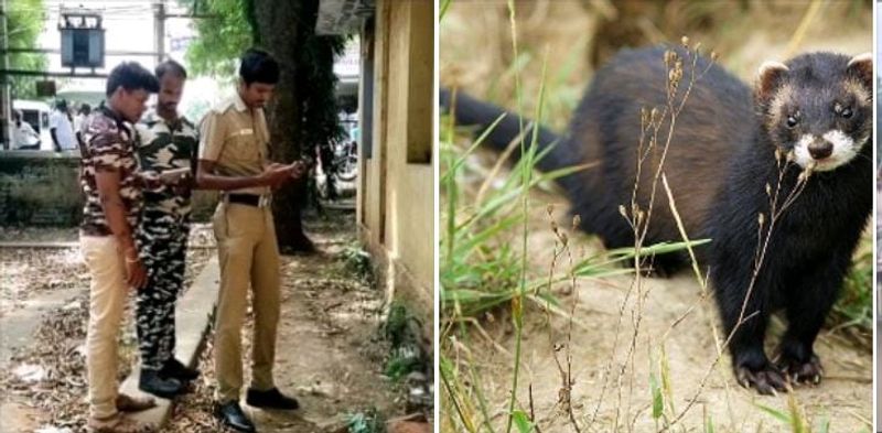 Forest department arrests auto union leader who was hunted and eaten by weasel KAK