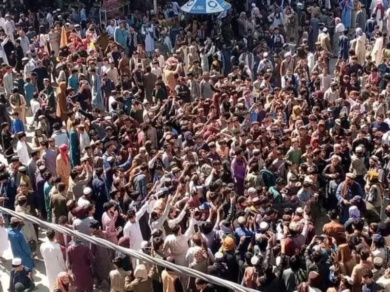 T20 World Cup 2024: Celebrations erupt in Afghanistan as team secures historic win over Australia (WATCH)