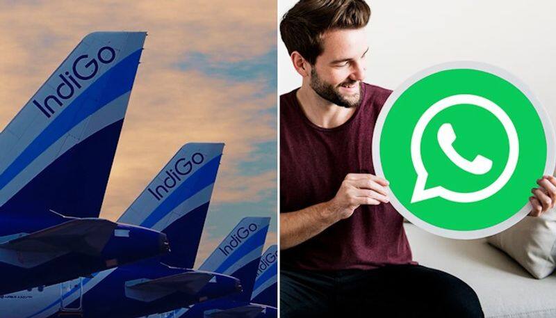 IndiGo flyers can now book tickets on WhatsApp! Know how to use it, other details gcw