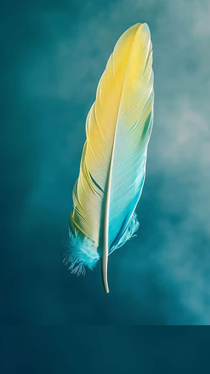 Single feather of an extinct bird auctioned for USD 28417 Know why iwh