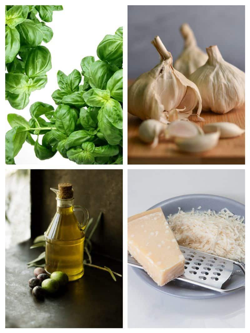 Pesto sauce: 7 steps to make the perfect dressing at home ATG