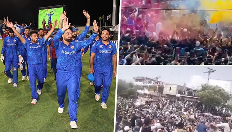 T20 WC 2024: Holi-like celebrations erupt in Afghanistan, players dance after reaching 1st-ever semis (WATCH) snt