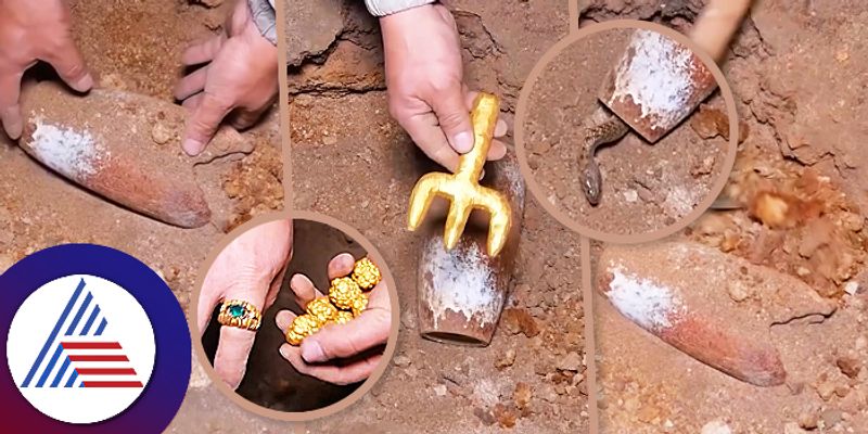 Man Found snake after he try excavate gold treasure through dig out video goes viral ckm