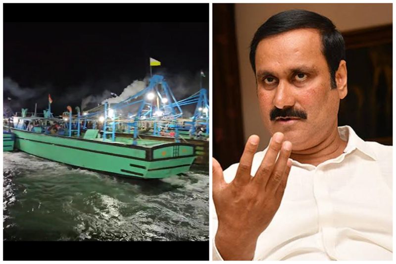 Anbumani said that the central government should take action regarding the arrest of Tamil Nadu fishermen by the Sri Lankan Navy vel