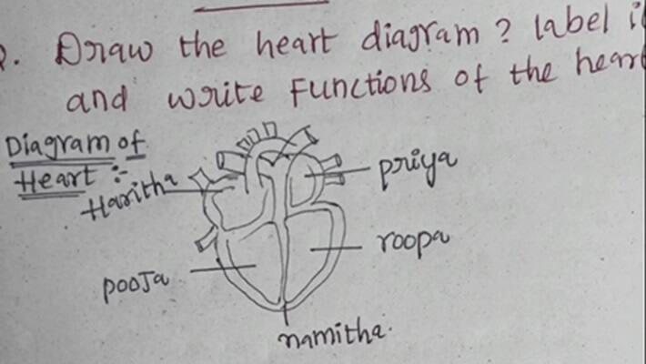 Student heart diagram