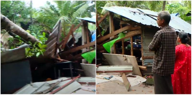 cashew tree uprooted in rain and wind fell on house family lost everything