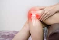 Food for knee pain and arthritis  zkamn