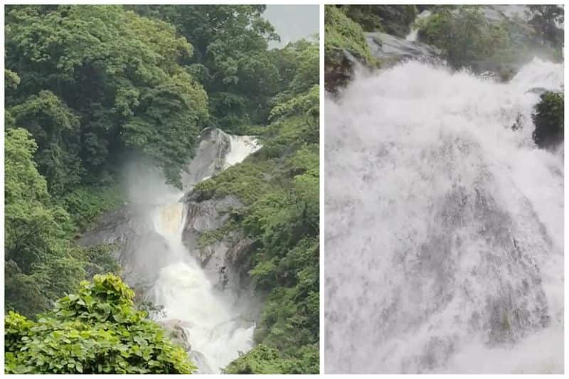 Due to high water flow in Kovai kutralam, tourists are banned vel