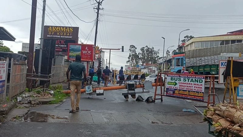 daily wager dies after traffic pole collapses in Kodaikanal vel