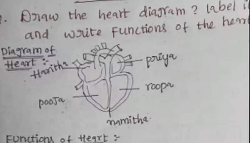 students heart diagram went viral in social media 