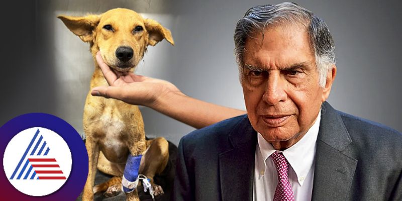 Ratan Tata appeal blood donors to save 6 month old puppy with life threatening autoimmune diseases ckm