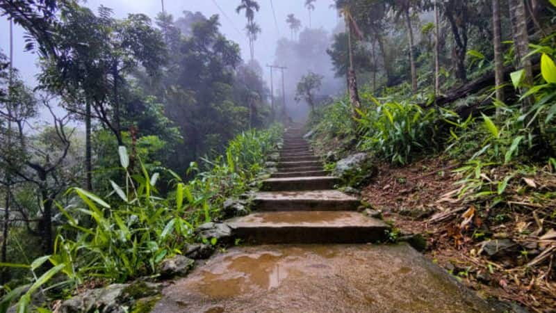  Cherrapunji to Coorg: Popular Monsoon Destinations in India NTI