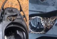 Viral Video: Python Found Around the Fuel Tank of a Scooter in Kerala, Watch Video NTI