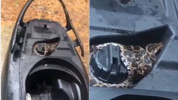 Viral Video: Python Found Around the Fuel Tank of a Scooter in Kerala, Watch Video NTI