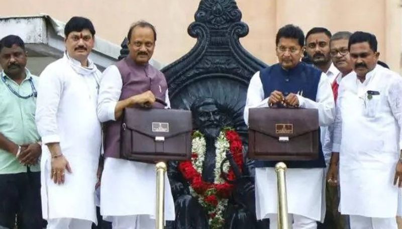 Maharashtra NDA Government Announced big schemes on budget see full list ans