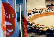 Financial Action Task Force fatf adopts mutual evaluation report places India in select group with 4 G20 countries zrua