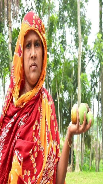 बजट 2024 में महिलाओं को क्या मिला?