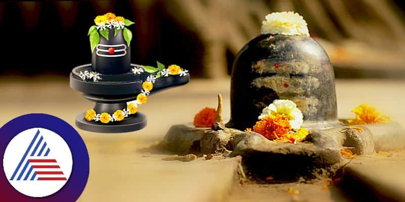 The Profound Origin Story of Shivalinga you must know pav