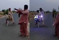 WATCH: Boy Riding Donkey with Fairy Lights Amuses Internet NTI