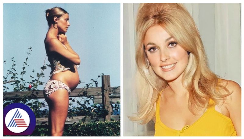 Hollywood most successful actressSharon Marie Tate  was stabbed death when she pregnant gow