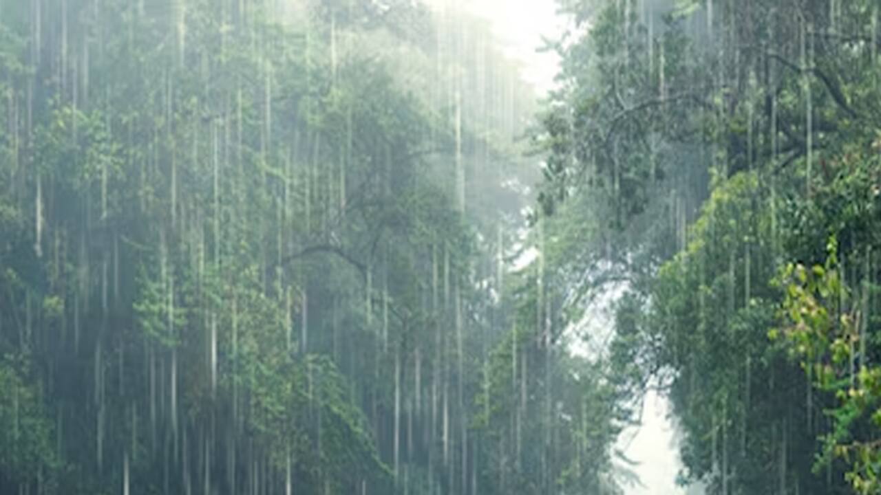 Remedies for good rain