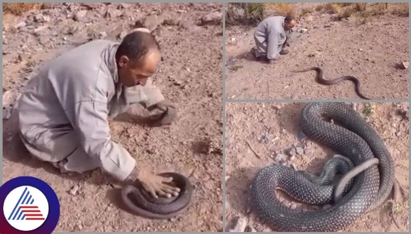 Muslim Baba threatened poisonous snake and chance given to sleep sat