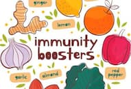 food that boost immunity Melon Gooseberry, turmeric, milk zkamn