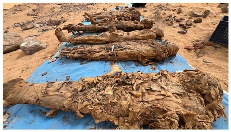 More than 1400 mummies discovered in city of the dead