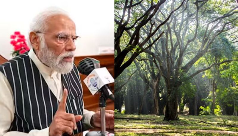 PM Narendra Modi reference in Mann Ki Baat to the Sanskrit debate at Cubbon Park bengaluru mrq