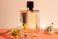 What's the right way to apply perfume? 5 Tips make your fragrance last longer RTM 