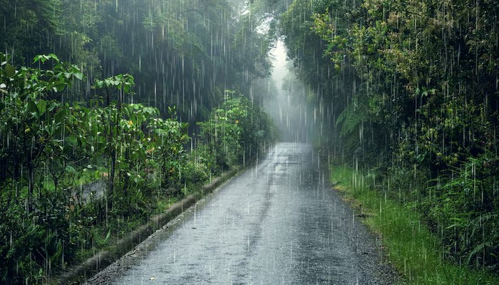 likely heavy rain coastal districts in Karnataka next four days grg 