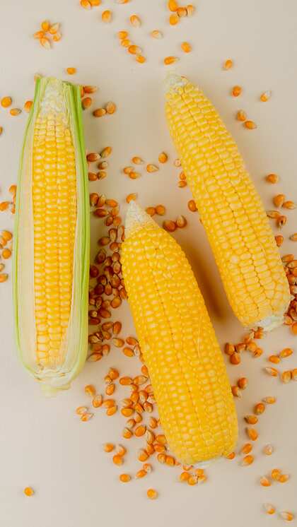 7 Delicious Corn Dishes to Enjoy This Monsoon