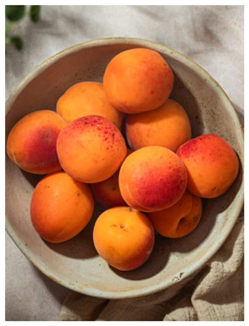 Apricot fruit health benefits VNR