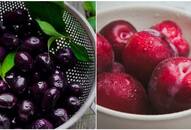 Jamun to Plums: 5 Fruits you should eat in monsoon for better immunity RTM 