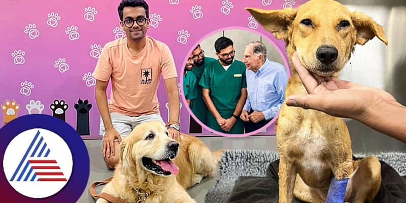 Ratan Tata thank dog and owner for donate blood to patient in crisis hope for quick recovery ckm