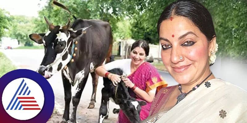 Kannada actress Bhavana Ramanna rearing cows in Bengaluru city shares tips vcs