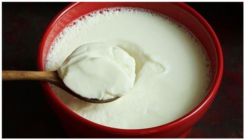 Is It Okay To Consume Sour Curd ram 