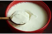 curd for healthy and strong hair 