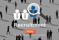 IBPS Clerk Recruitment 2024 IBPS Applications Invited For 6,128 Vacancies, Check Details XSMN