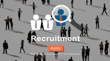 IBPS Clerk Recruitment 2024 IBPS Applications Invited For 6,128 Vacancies, Check Details XSMN