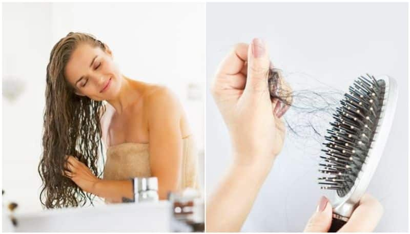 Curry leaves and coconut oil to green tea and honey: Try these 5 hair masks to prevent hair fall this monsoon RTM 