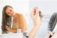 Curry leaves and coconut oil to green tea and honey: Try these 5 hair masks to prevent hair fall this monsoon RTM 