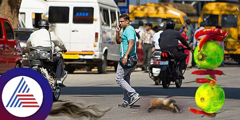 Do not touch these things while walking on the road which related to black magic pav