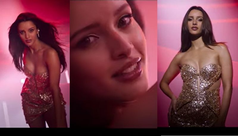 Bollywood Tripti dimri featured bad newz movie Tauba Tauba song out create sensation ckm