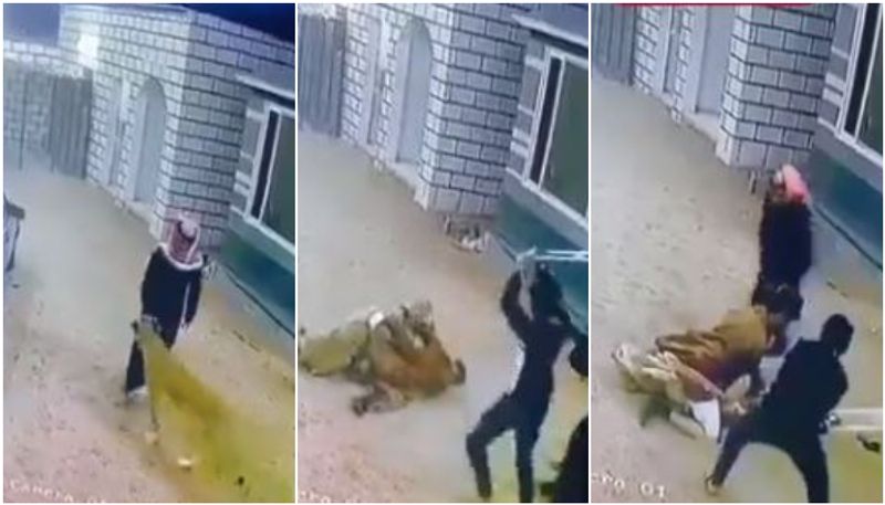 shocking video of lion attacking man in saudi arabia 