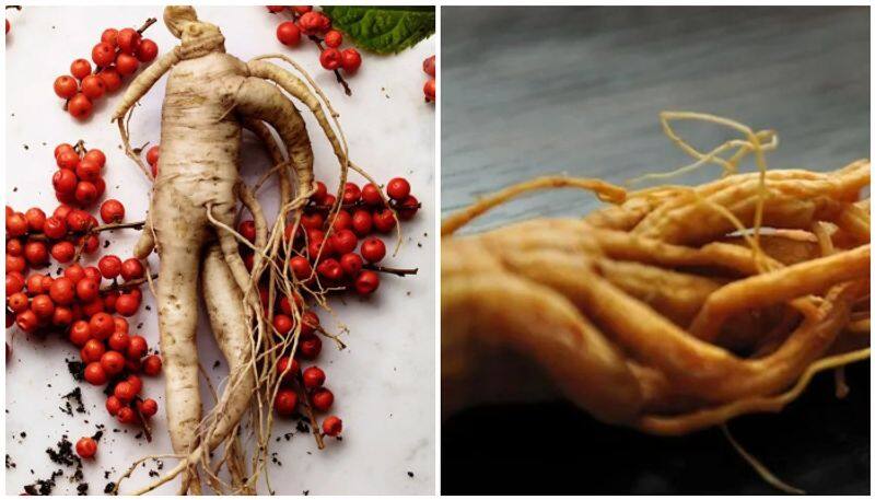 Anti-aging to stress reduction: Top 5 magical benefits of ashwagandha RTM